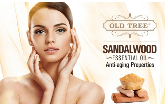 The essential oil of sandalwood  